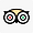 Trip Advisor Social Icon